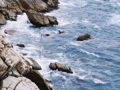 -广东惠东海龟国家级自然保护区