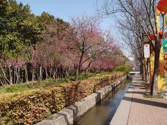 -洛阳市隋唐城遗址植物园