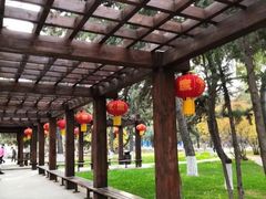 -东北大学(南湖校区)