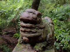 -青城山