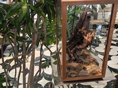 -一尺花园(安和花园店)