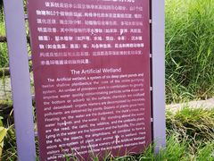 -成都市活水公园