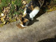 -东华大学(松江校区)