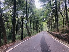 -潜山国家森林公园