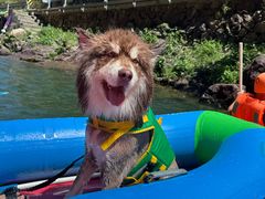 -安吉龙王山峡谷漂流