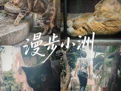 -小洲村