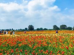 -汉长安城未央宫国家考古遗址公园