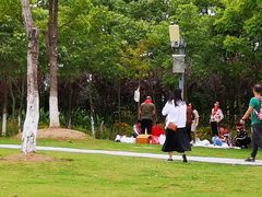 -上海长兴岛郊野公园