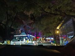 -枫花园汽车电影院(朝阳公园店)