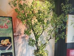 -悠仙美地(赣榆店)