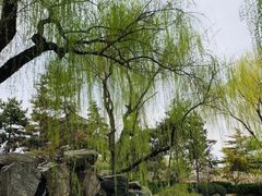 -西安青龙寺遗址景区