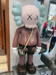 点击看大图 -卡尔诗·科技美肤连锁