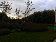 android_upload_pic-长春公园(普阳街道)