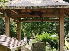 -黔灵山公园