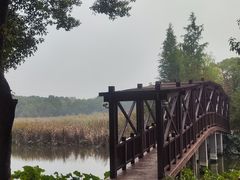 -同里国家湿地公园