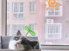 -佳怡动物医院·平价24小时·猫专科骨外科