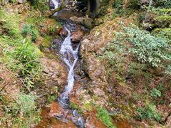 -东天目山风景区