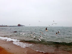 iphone_upload_pic-栈桥景区
