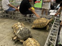 -南宁国际会展中心