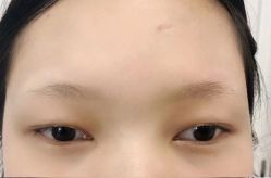 -禹彤绣苑·机器野生眉纹眉