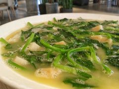 豆汤豌豆尖（份）-日进一片海.生腌海鲜火锅.宵夜烧烤(三里屯总店)