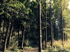 iphone_upload_pic-新江湾城公园