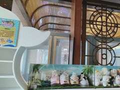 -童趣廊·儿童波波池·海洋球(长隆横琴湾酒店)