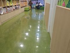 -辫豆HABA儿童馆·创意早教逻辑思维专注力(银泰中心店)
