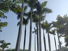 -厦门园林博览苑