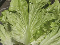 -江城二当家烤牛肉(莲塘新村店)