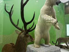 -国家自然博物馆