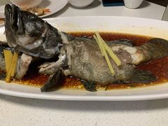 清蒸石斑鱼-煲王粤菜餐厅(中侨中心店)