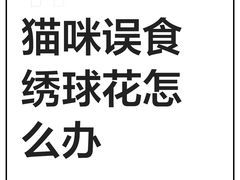 -唐小姐の猫狗洗护·购宠旗舰店(周浦万达店)