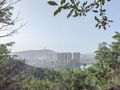 -青龙山国家森林公园