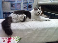 iphone_upload_pic-Sirena海妖日咖夜酒