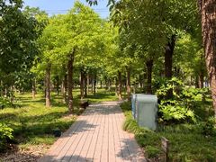 -嘉北郊野公园北游客中心-地上停车场