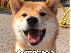 -海底捞火锅(漫乐城夜宵主题店)