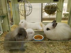 -龙猫仔乐园(惠福东路店)