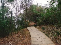 -九曜山