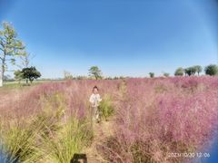 -汉长安城未央宫国家考古遗址公园