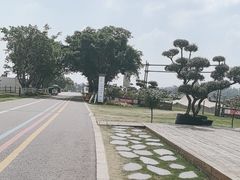 -空港花田景区