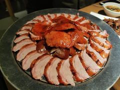 -守柴炉烤鸭(科华中路王府井店)