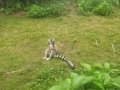 -深圳野生动物园