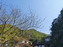 -泽雅七瀑涧景区