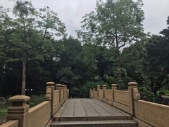 -晓港公园