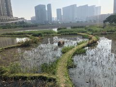 景点-龙环葡韵住宅式博物馆