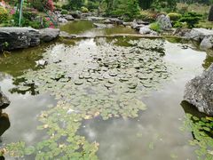 -东莞植物园