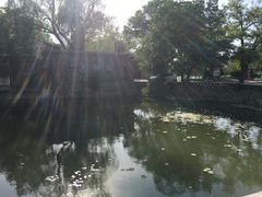 -卫鼎轩·家宴(水上公园店)