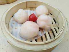 金牌虾饺皇-点都德(千灯湖环宇城店)