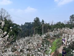 -樱桃山旅游景区